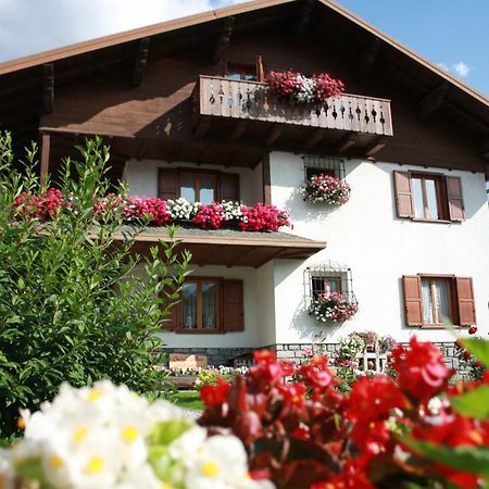 Chalet Stelvio Μπόρμιο Εξωτερικό φωτογραφία