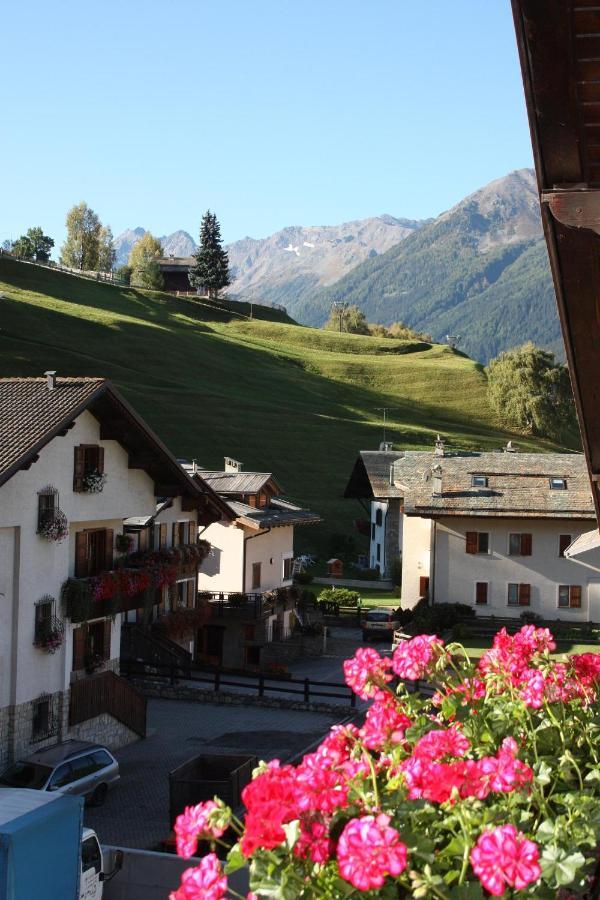 Chalet Stelvio Μπόρμιο Εξωτερικό φωτογραφία